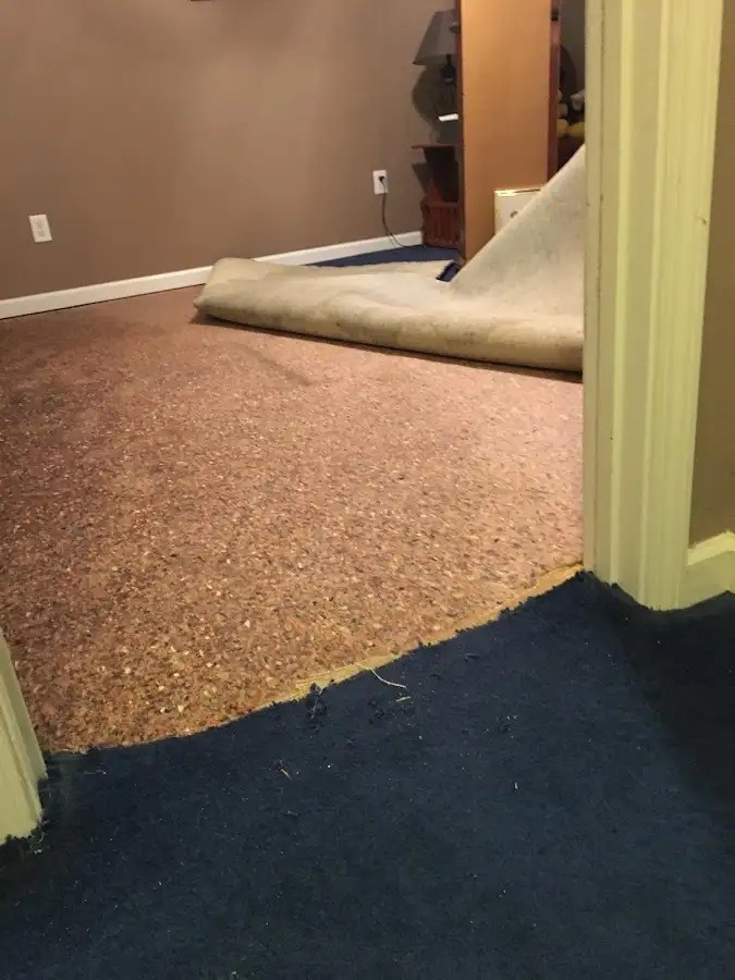 Carpet pad removal revealing water damage during Drying & Dehumidification in Falls Church